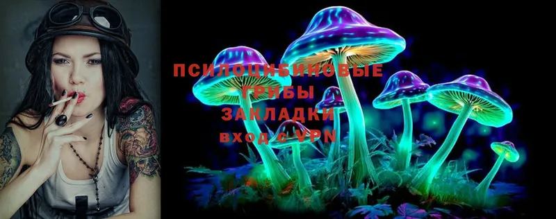 MEGA зеркало  купить наркоту  Бавлы  Галлюциногенные грибы Psilocybine cubensis 